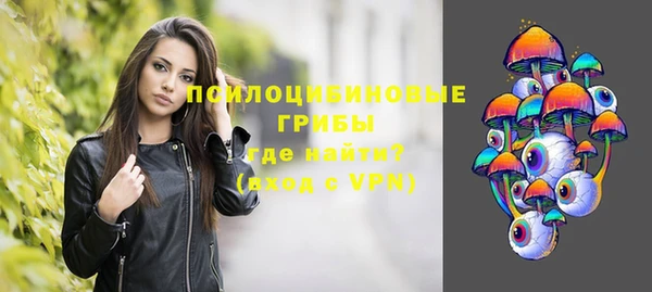 синтетический гашиш Белокуриха
