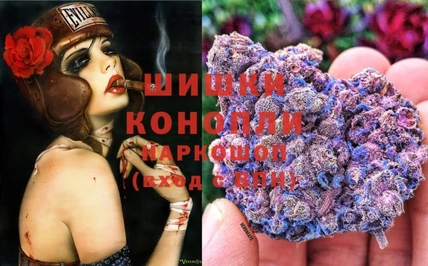 spice Беломорск